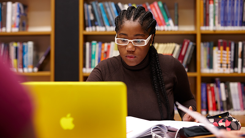 Researcher in the library