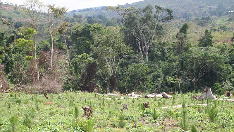 Easing conflict about wildlife in Africa